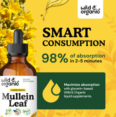 Wild & Organic Mullein Drops ingredients visual highlights plant-based formula.