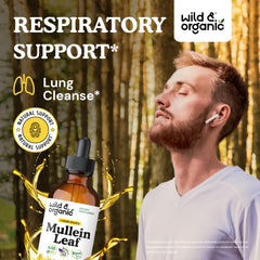 Wild & Organic Mullein Drops pour demonstrates easy, alcohol-free tincture in action.