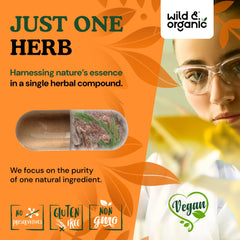Wild & Organic pine bark ingredient panel detailing plant-based, non-GMO formula.