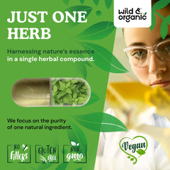 Wild & Organic spearmint capsules vegan status for plant-based wellness.