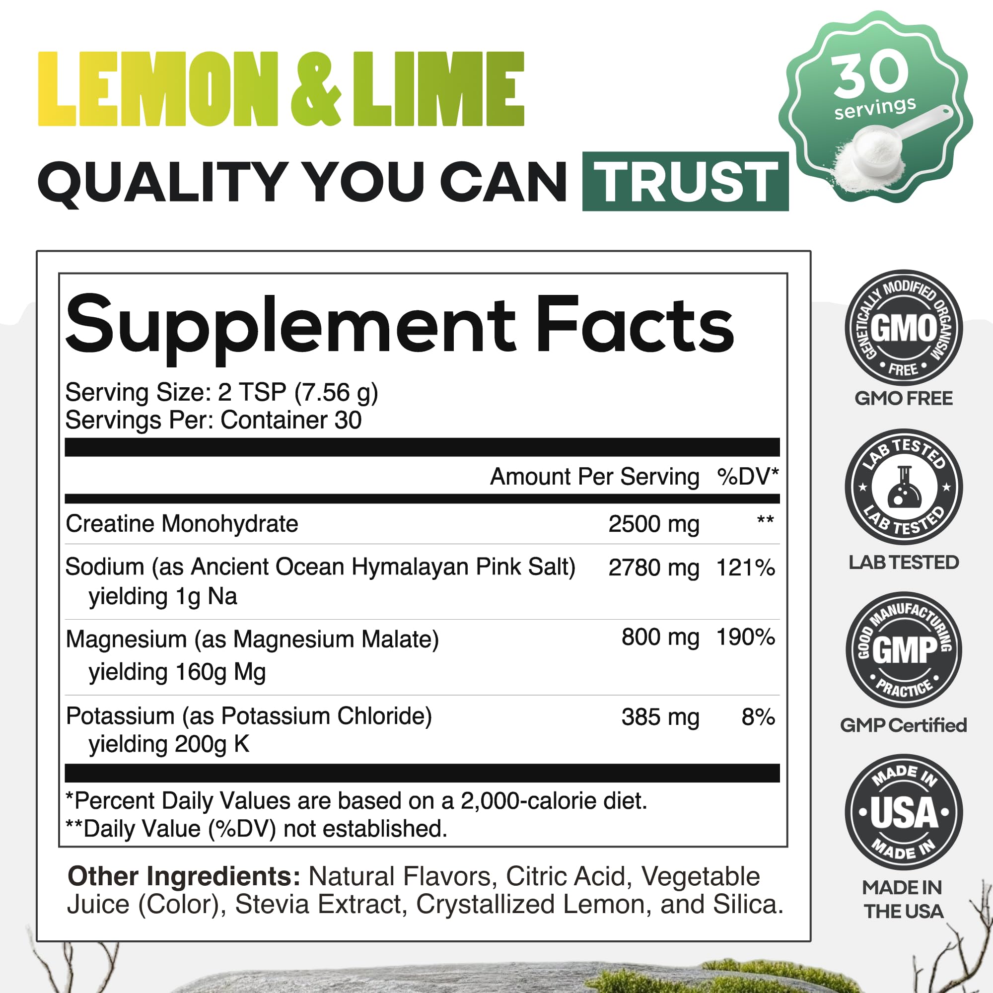 Wild Foods Creatine + Electrolytes lemon-lime ingredients close-up showing magnesium malate and pink salt.