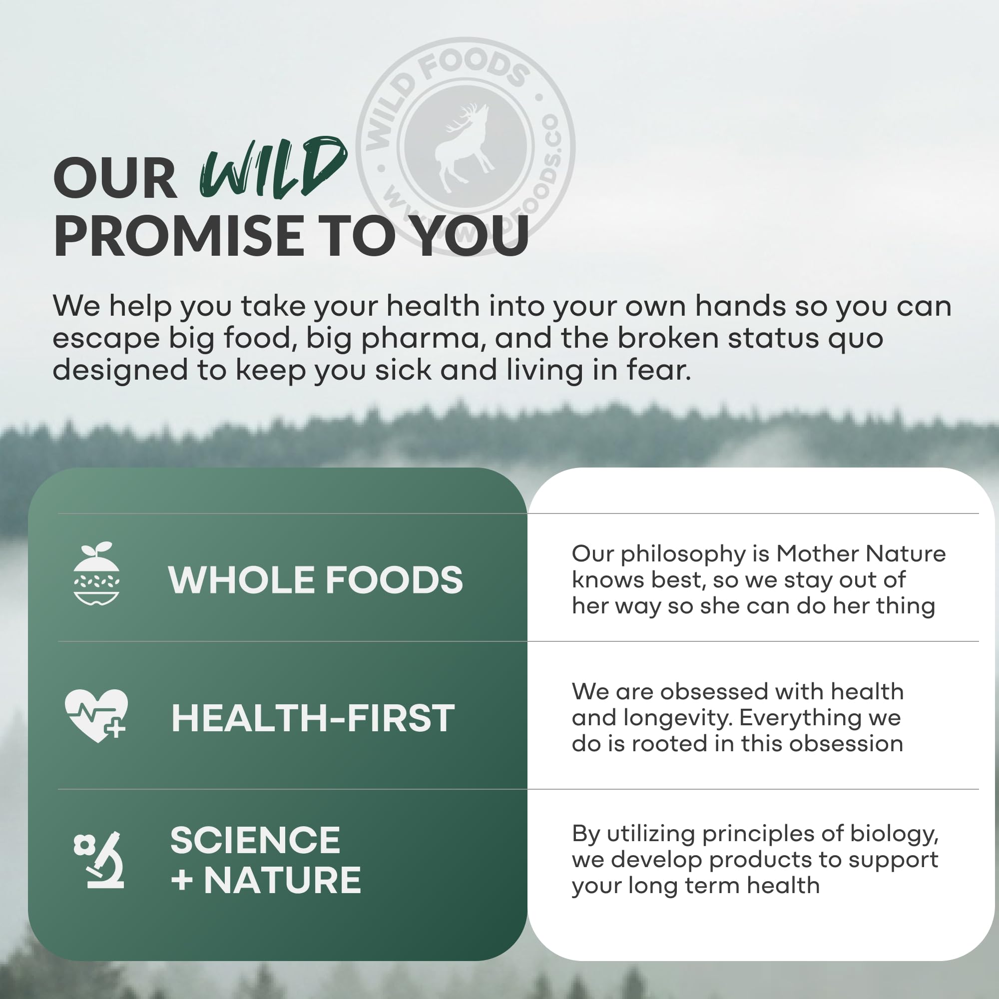 Wild Foods Creatine + Electrolytes lemon-lime kitchen scene highlights gluten-free and vegan-friendly ingredients.