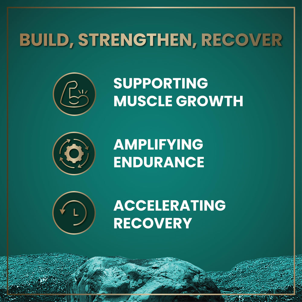 Wild Fuel HMB-D3 capsules in hands illustrating portability and readiness.