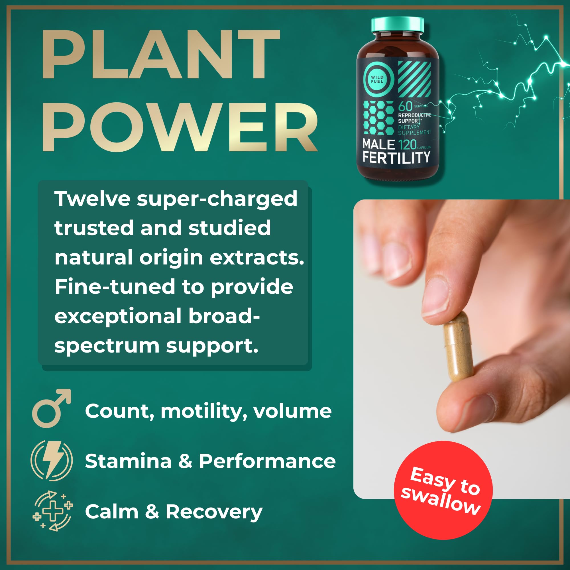 Wild Fuel saw palmetto capsules aiding hormonal balance and reproductive health.