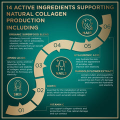 WILD FUEL USA facility seal, CGMP-certified production with premium ingredients.