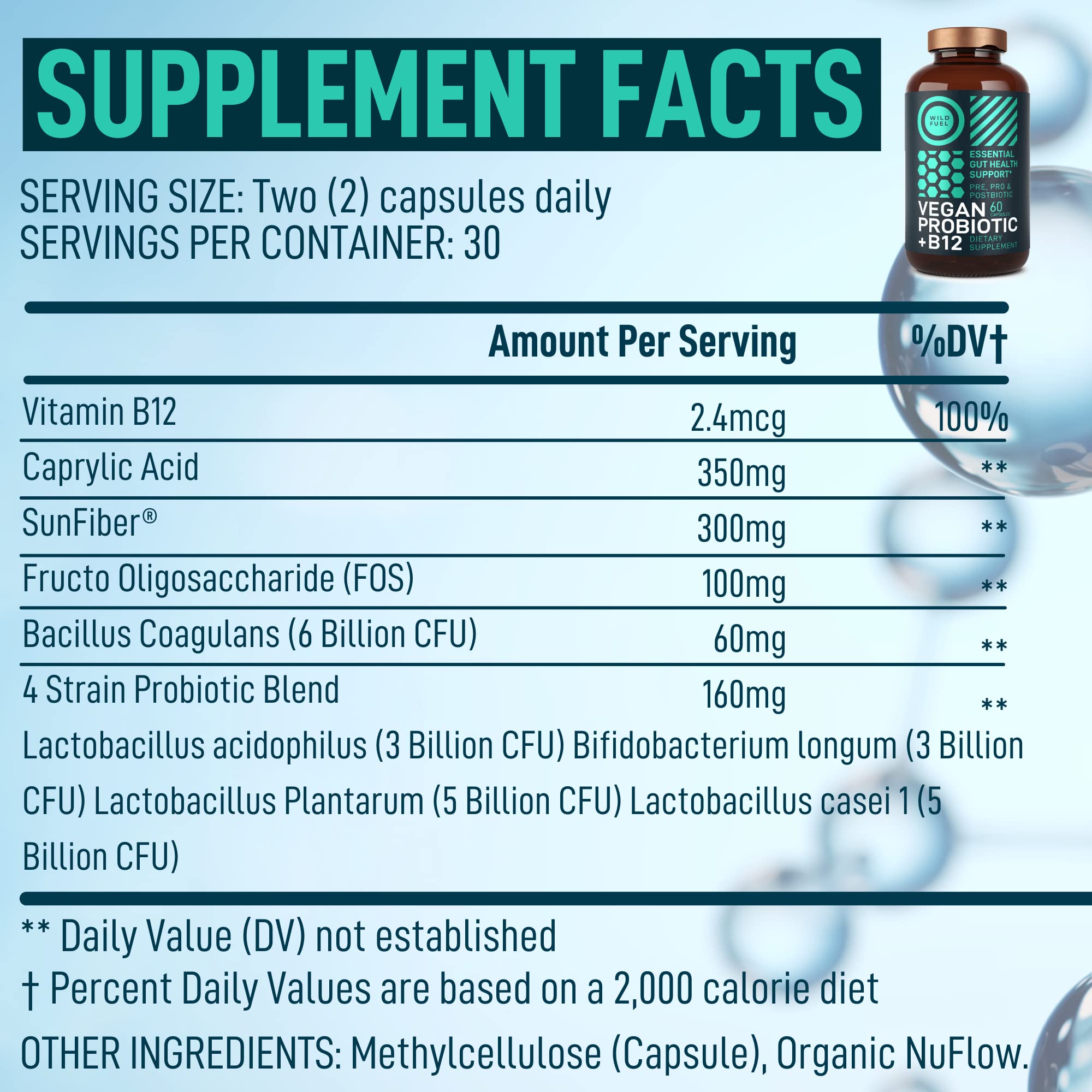 Wild Fuel Vegan Probiotic Plus B12 & FOS capsules close-up for energy