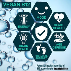 Mood-support focus: B12-infused probiotic promoting energy