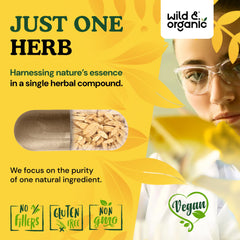 Plant-based coating on capsules promotes vegan-friendly supplement routine.