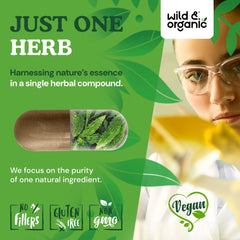 Wild & Organic bitter melon capsules open bottle, 120-day supply ready.