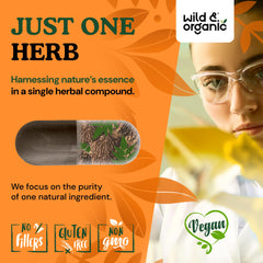 Wild & Organic black walnut hull capsules ingredients panel highlights vegan, filler-free design.