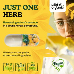 Wild & Organic bromelain packaging box communicates vegan, non-GMO standards at a glance.