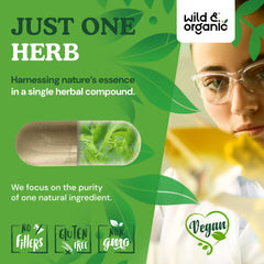 Wild & Organic Centella asiatica powder visible as natural ingredient source