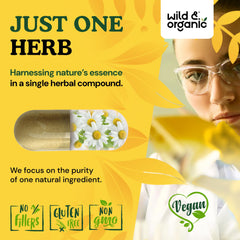 Wild & Organic chamomile label demonstrates ingredients and non-GMO promise for mindful supplementation.