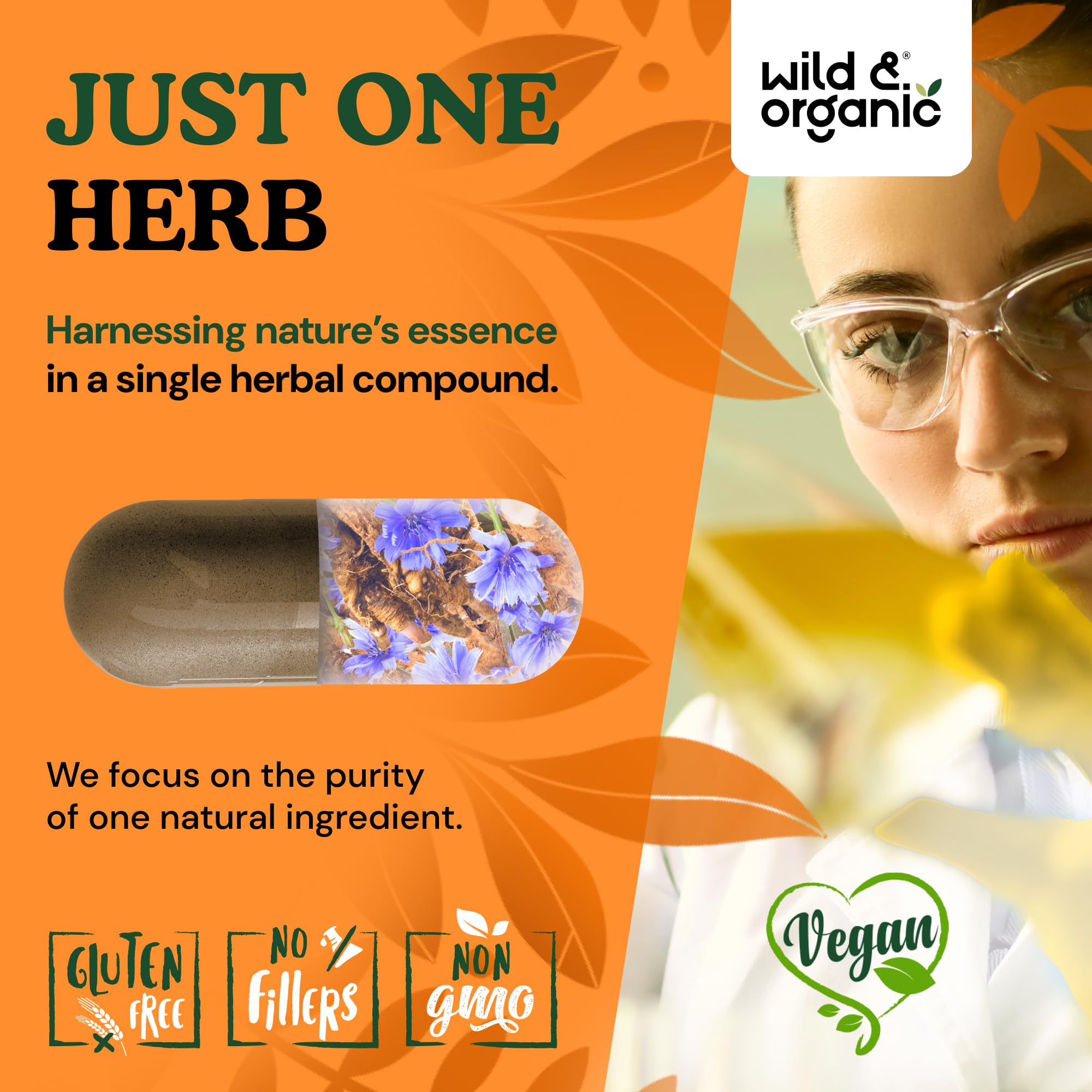 Wild & Organic chicory root fiber capsules on kitchen counter for daily use