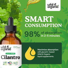 Wild and Organic cilantro leaves close-up signaling natural detox potential