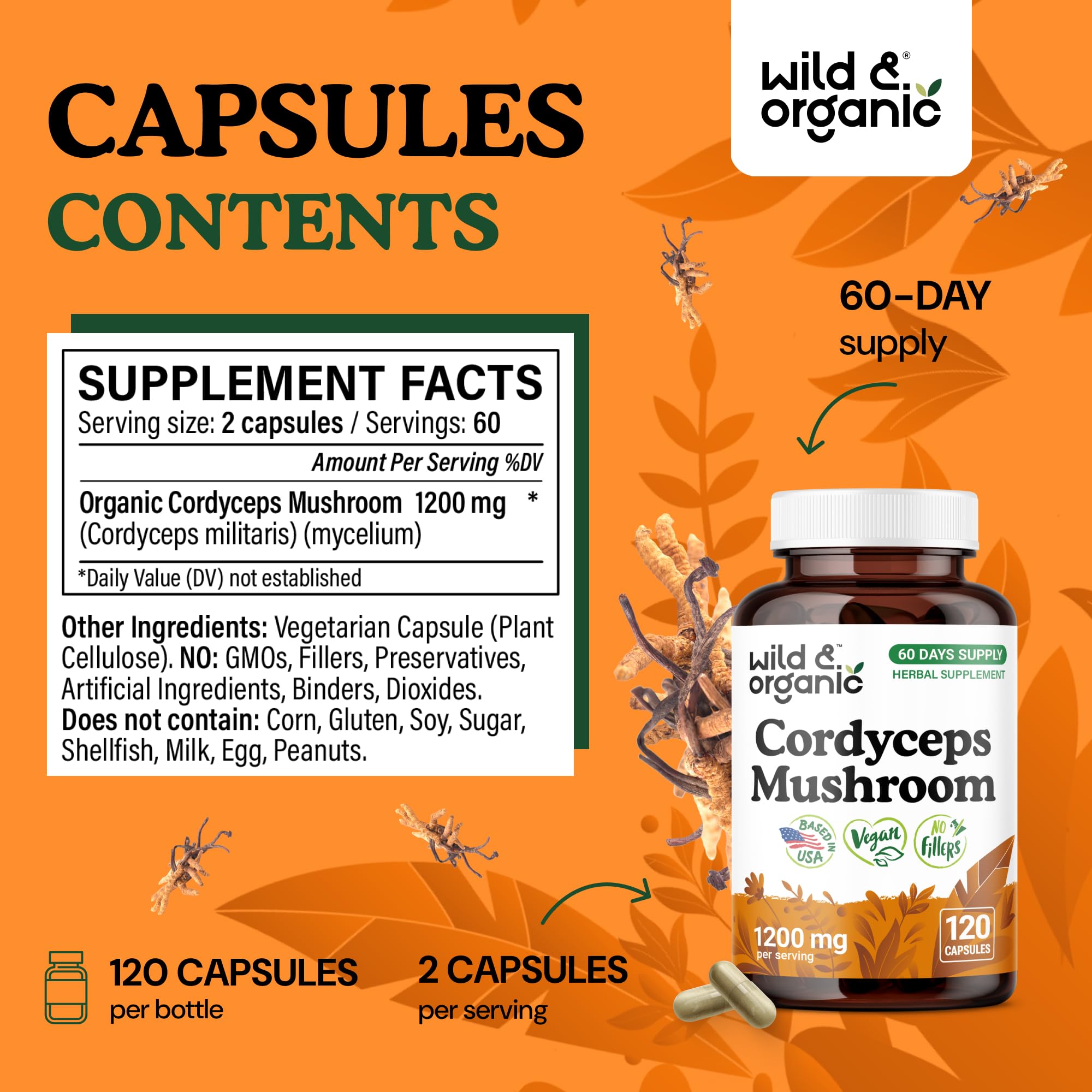 Wild & Organic cordyceps powder extract close-up highlights pure mycelium.
