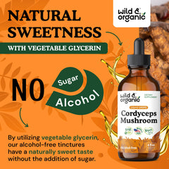 wild & organic cordyceps tincture alcohol-free formula