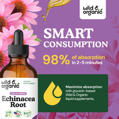 Liquid closeup of Wild & Organic Echinacea Drops.