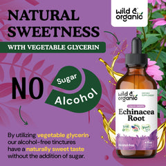 Pouring Wild & Organic Echinacea Drops into a glass.