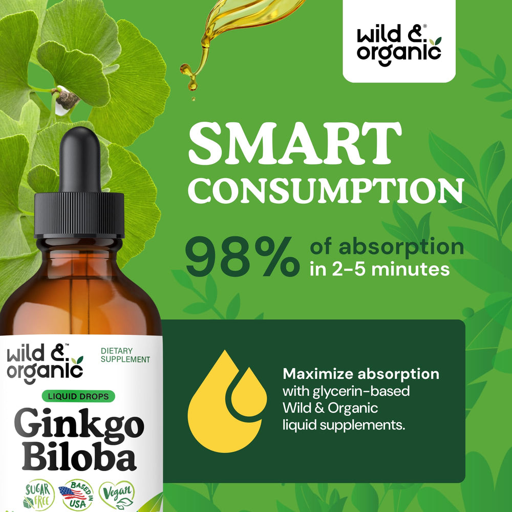 Wild & Organic Ginkgo Biloba tincture in amber bottle on a clean counter