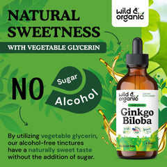 Wild & Organic Ginkgo Biloba ingredients list highlighting vegan, sugar-free formula