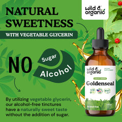 Glycerin-based base provides smooth taste without alcohol or sugar in tincture.