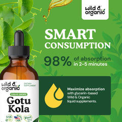 Golden tincture drops into a glass, illustrating easy daily usage
