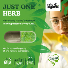 Wild & Organic Gymnema Sylvestre 180-day supply emphasizes long-term convenience.