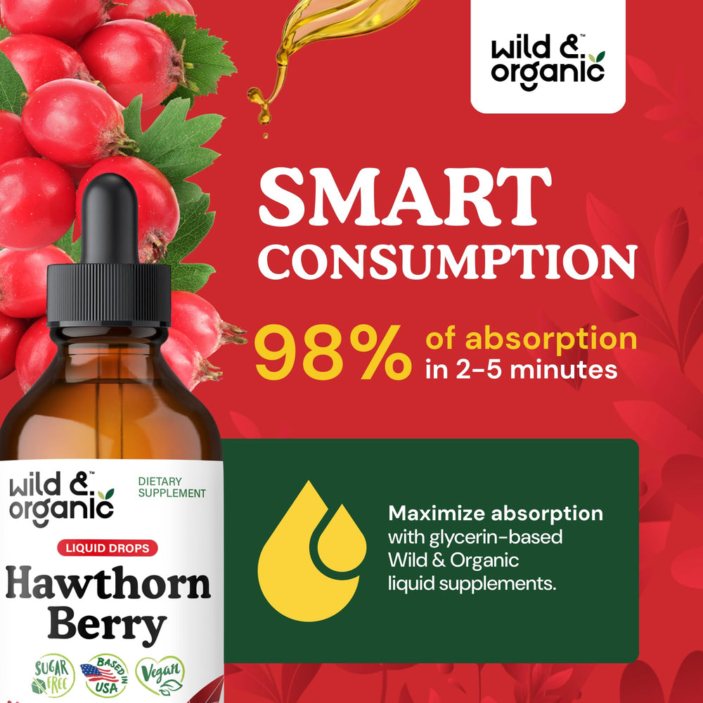 Hawthorn plant and berries highlight natural source of wellness.