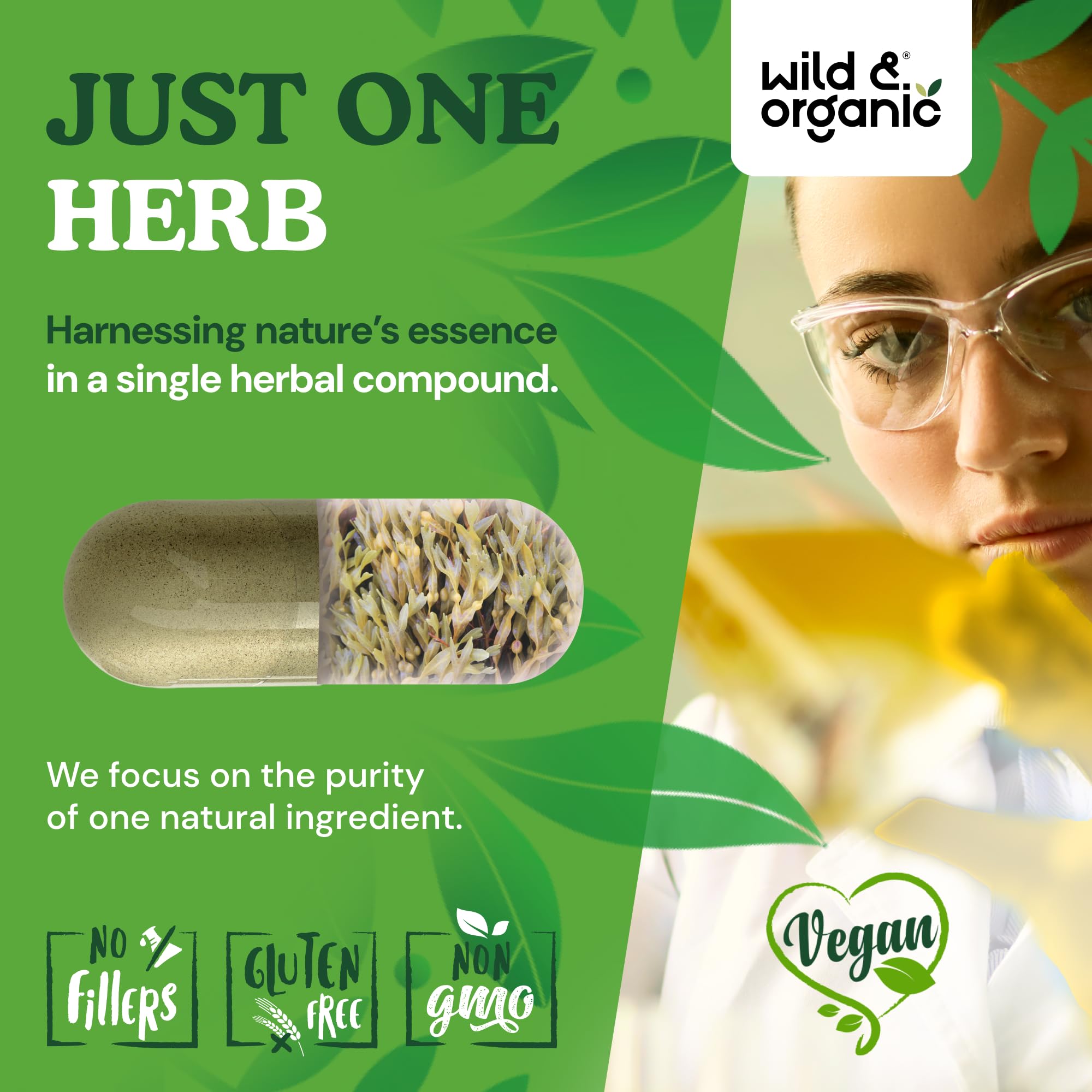 Wild & Organic Sea Kelp Capsules bottle with glass of water for daily intake.