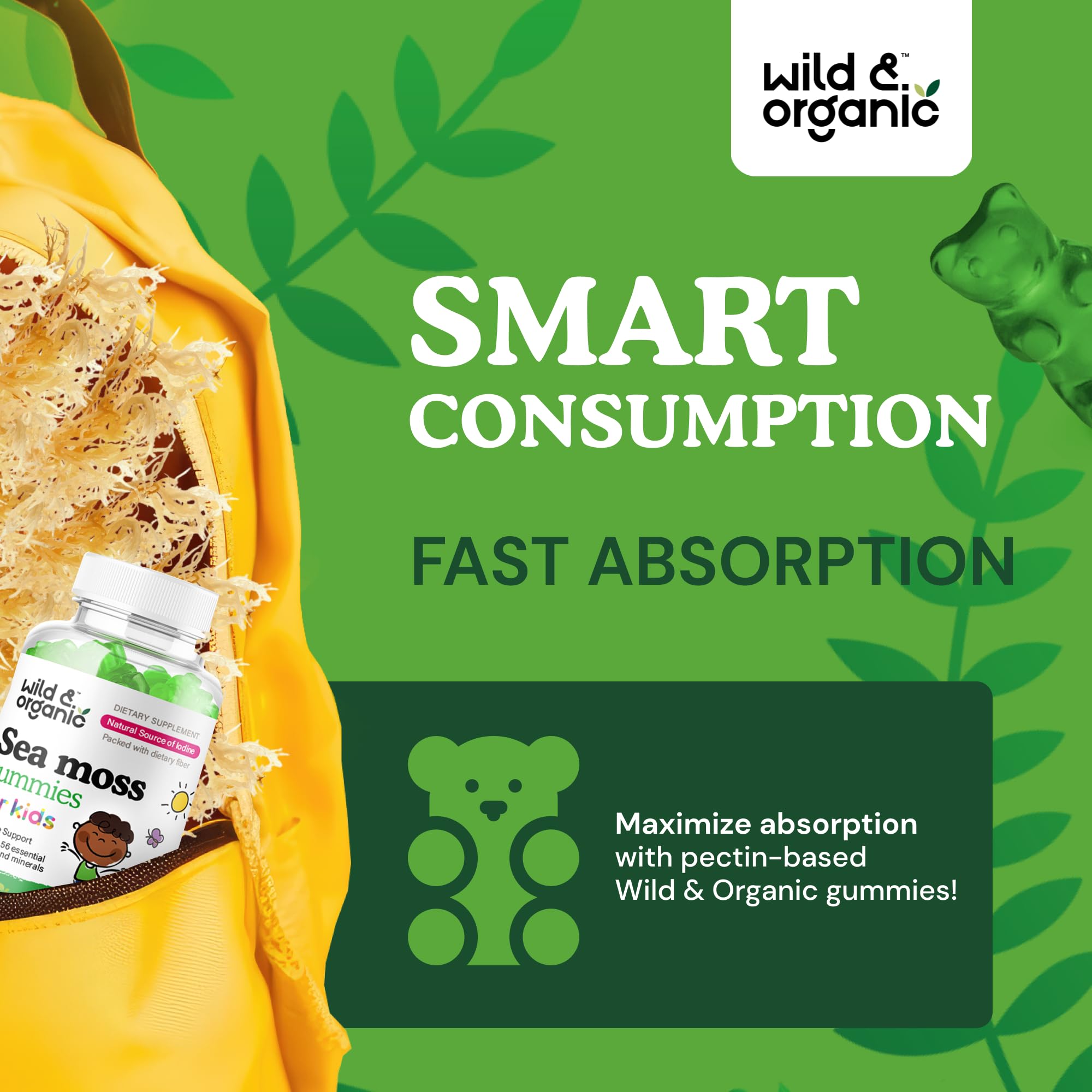Wild & Organic Sea Moss Gummies Kids ingredients bladderwrack closeup may support a nutrient-rich daily routine