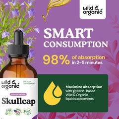 Close-up of skullcap herb used in Wild & Organic tincture