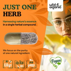 Wild & Organic Turkey Tail bottle back label lists serving size and 90-day supply.