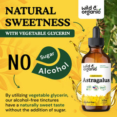 Wild & Organic vegan formula supports plant-based wellness.