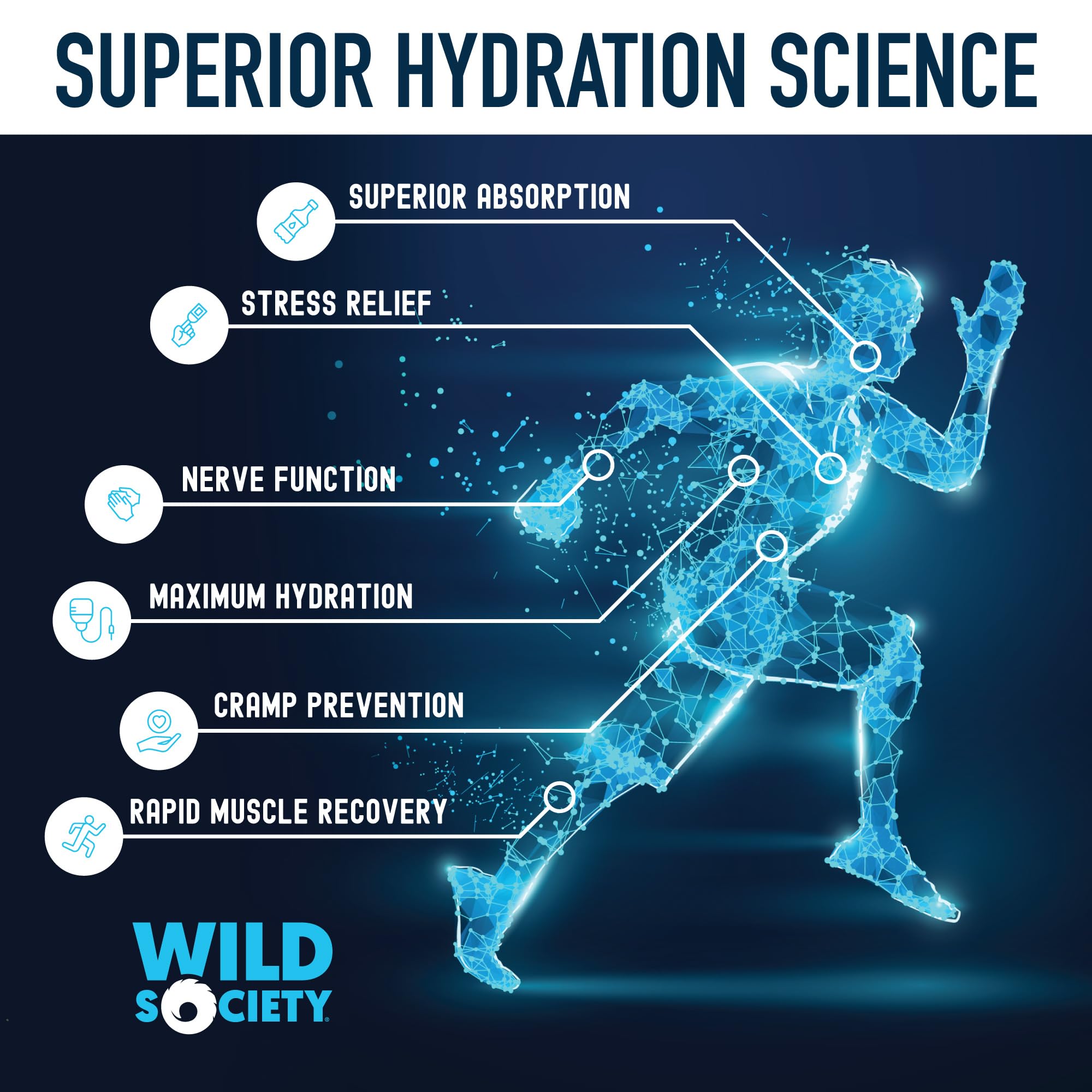 Wild Society magnesium glycinate absorption boost for better hydration
