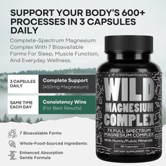 Wild Foods Fulvic mineral blend graphic illustrates nutrient absorption support.