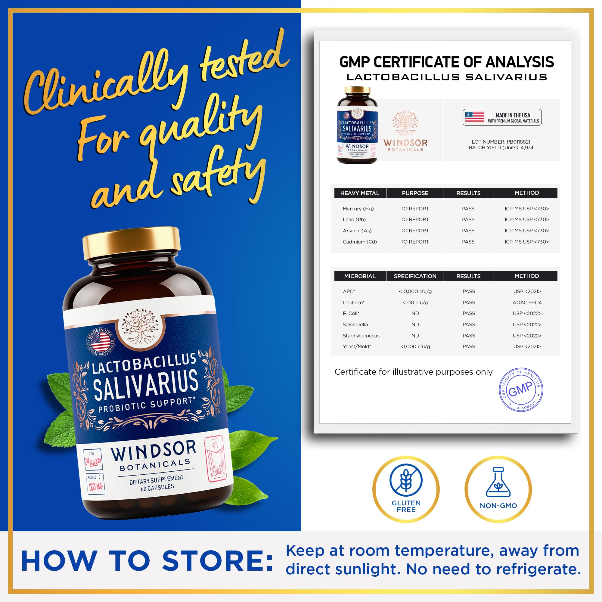 WINDSOR BOTANICALS Lactobacillus Salivarius capsules close-up from Windsor Botanicals