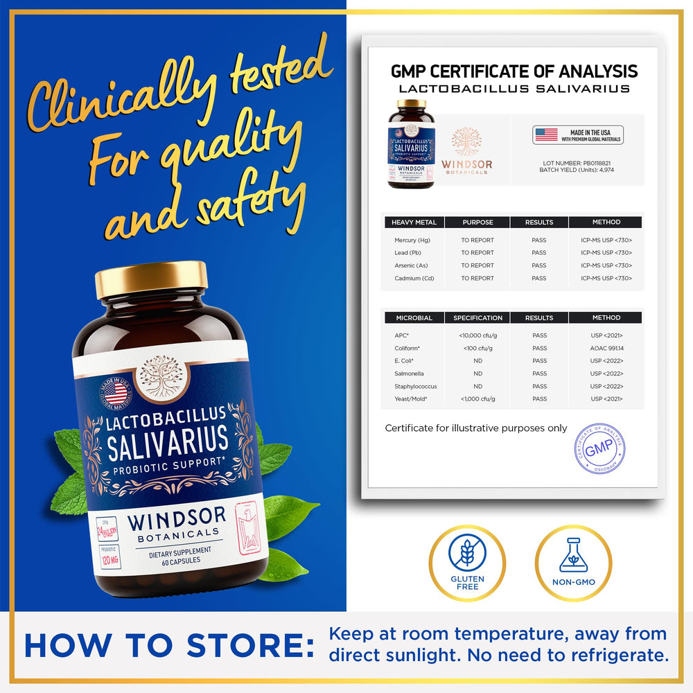 WINDSOR BOTANICALS Lactobacillus Salivarius capsules close-up from Windsor Botanicals