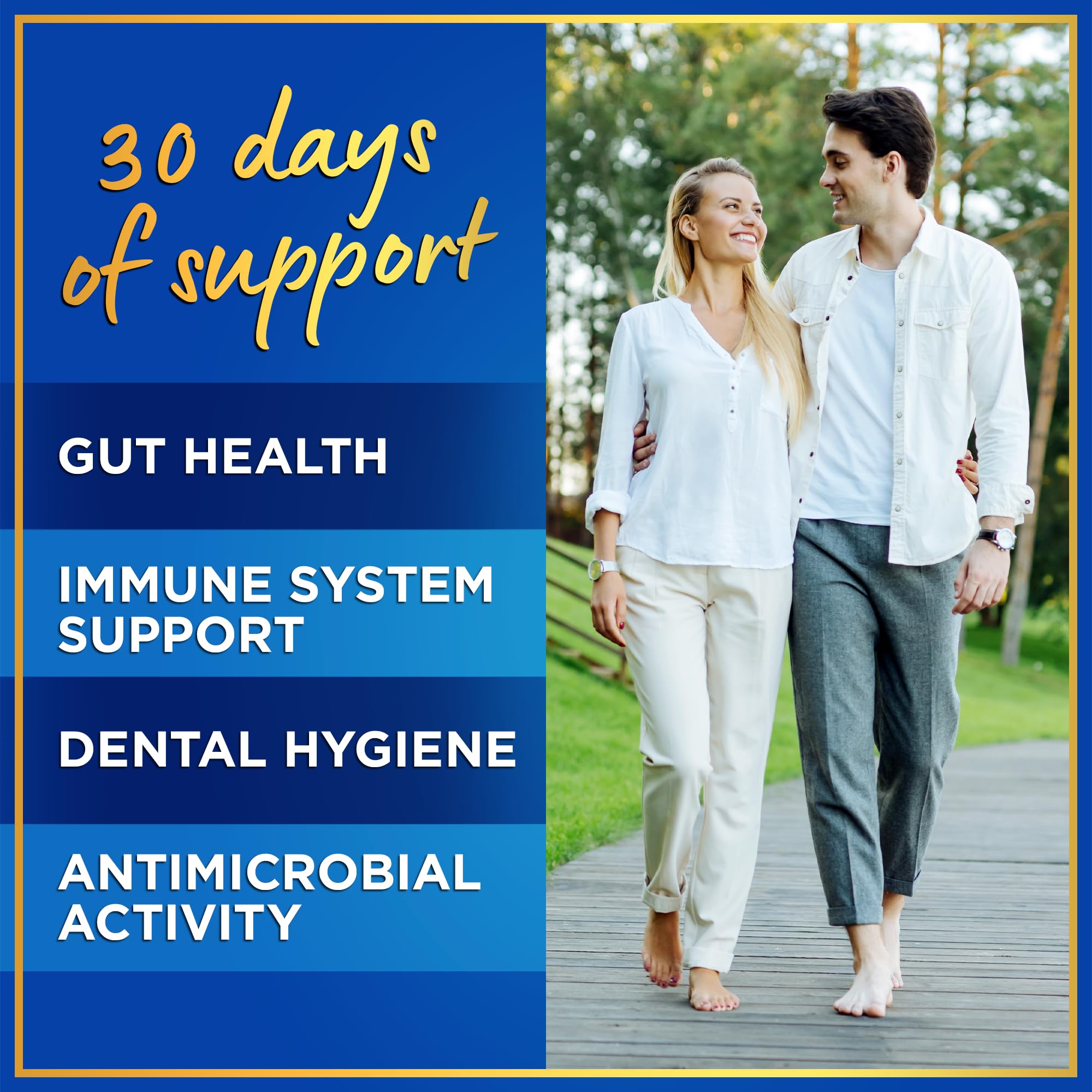WINDSOR BOTANICALS gut health illustration showing balance and digestion benefits