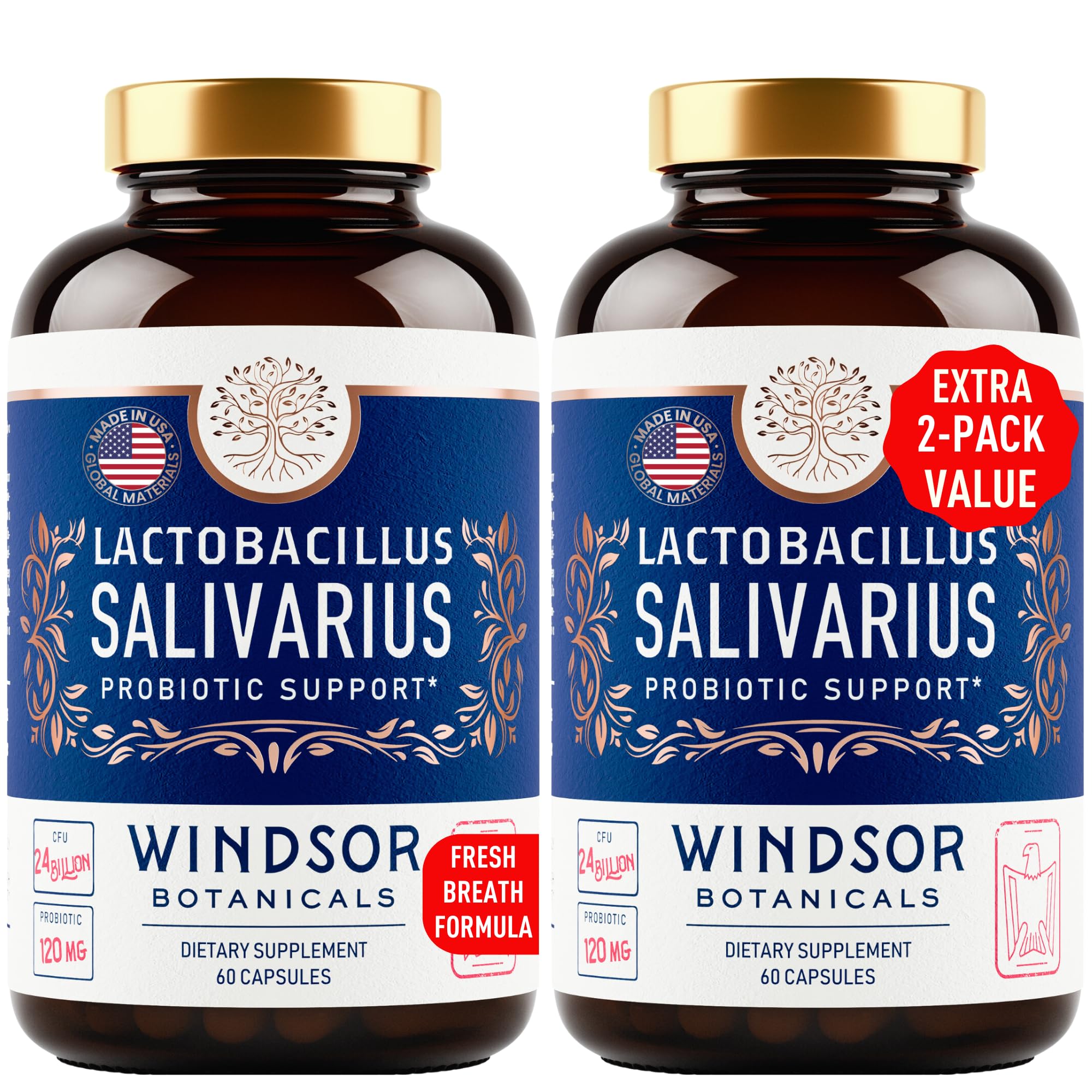 WINDSOR BOTANICALS Lactobacillus Salivarius capsules for daily oral and gut health support