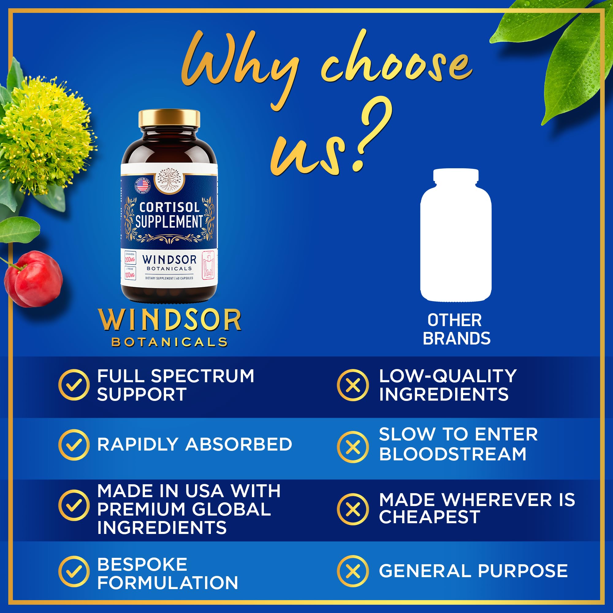 WINDSOR BOTANICALS Acerola vitamin C source for daily antioxidants.