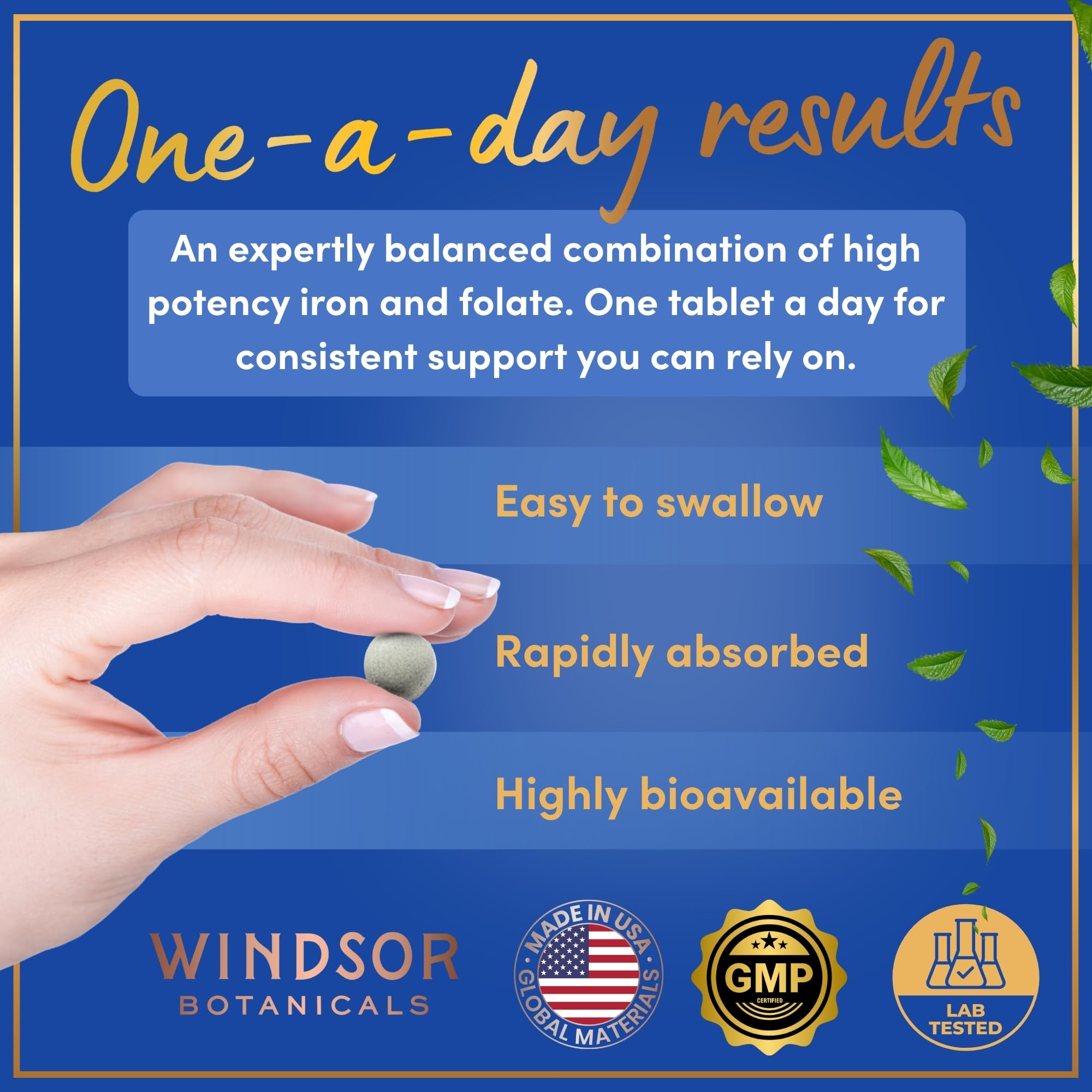 WINDSOR BOTANICALS iron and folate label showing dosage details