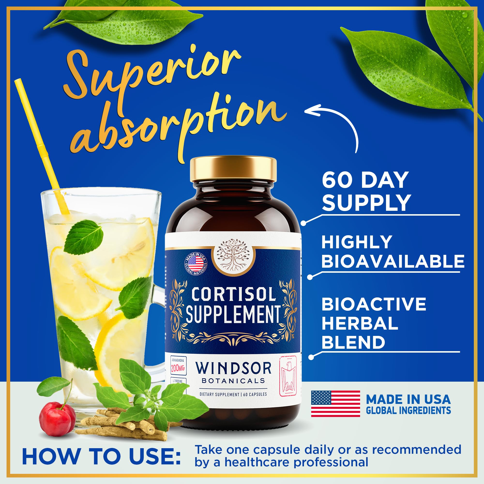 WINDSOR BOTANICALS L-tyrosine brain-boost capsules for focus.