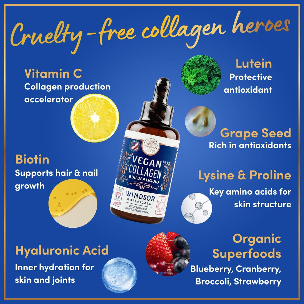 WINDSOR BOTANICALS organic fruit and vegetables blend liquid for nutrient-rich formula