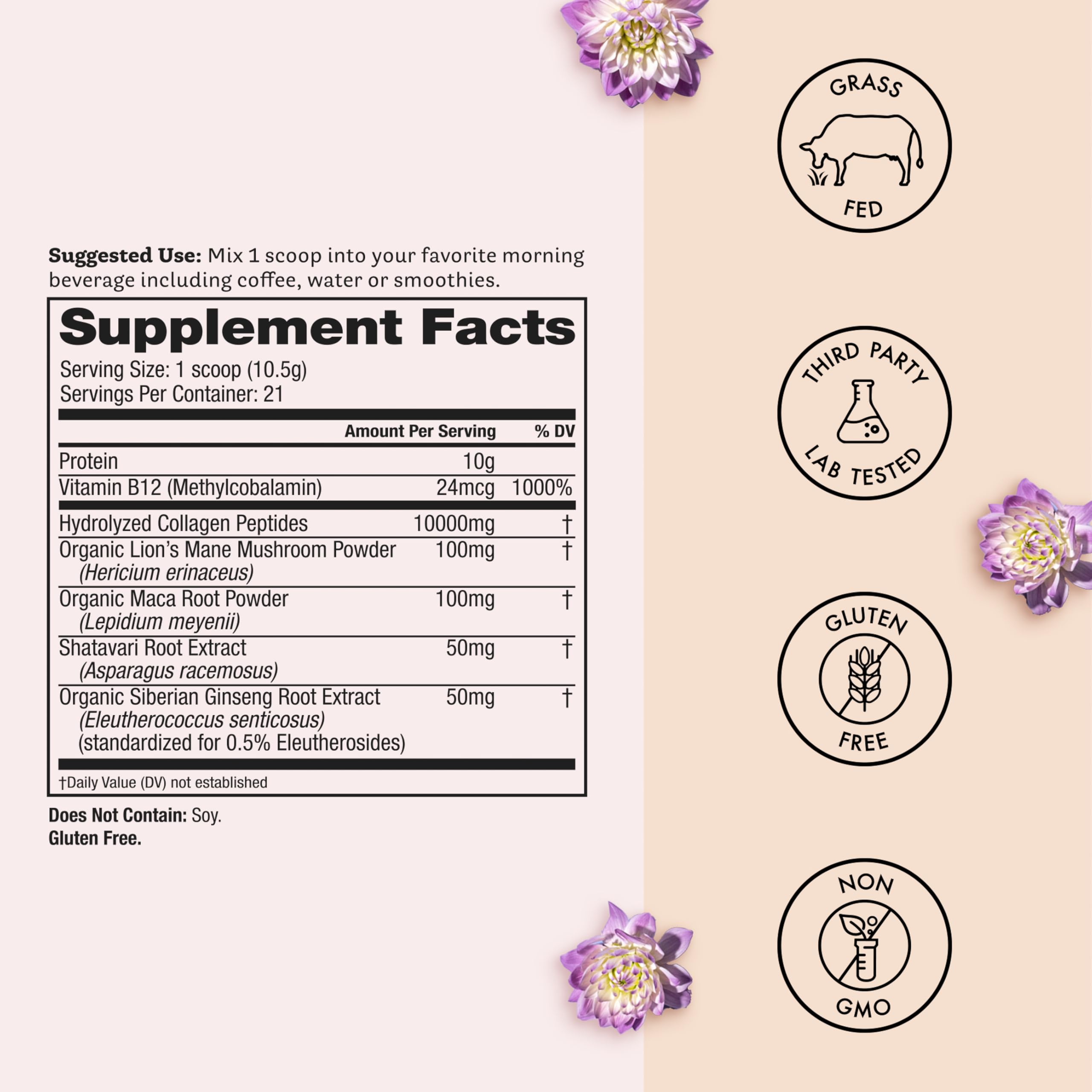 Ingredients graphic showing grass-fed collagen peptides and Lion's Mane for cognitive support