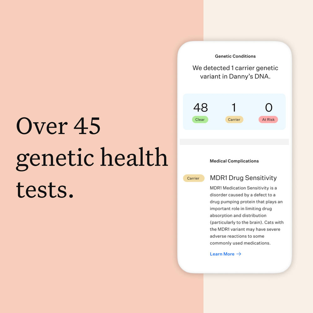 Wisdom Panel blood-type result useful for emergency planning.