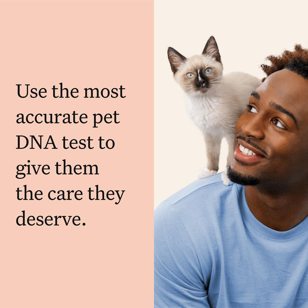 Wisdom Panel blood type card helps in emergencies.