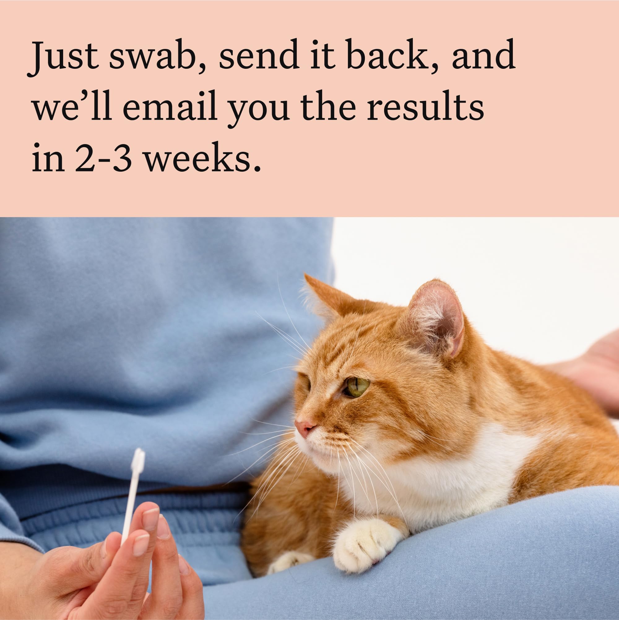 Wisdom Panel instruction card guides easy setup for pet parents.