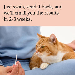Wisdom Panel instruction card guides easy setup for pet parents.