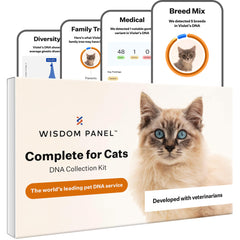 Wisdom Panel Complete cat DNA test kit with breed and health insights.